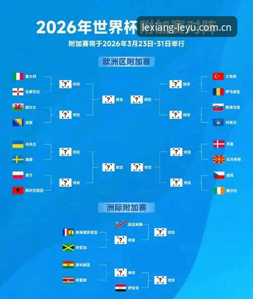 2026世界杯观赛困境深度评测：签证危机与地缘政治如何影响球迷体验